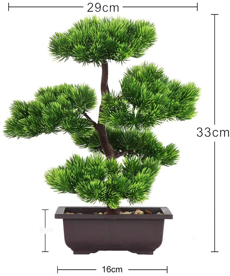 Japanese Pine Bonsai Plant for – обзор и цена Victory Home Decor