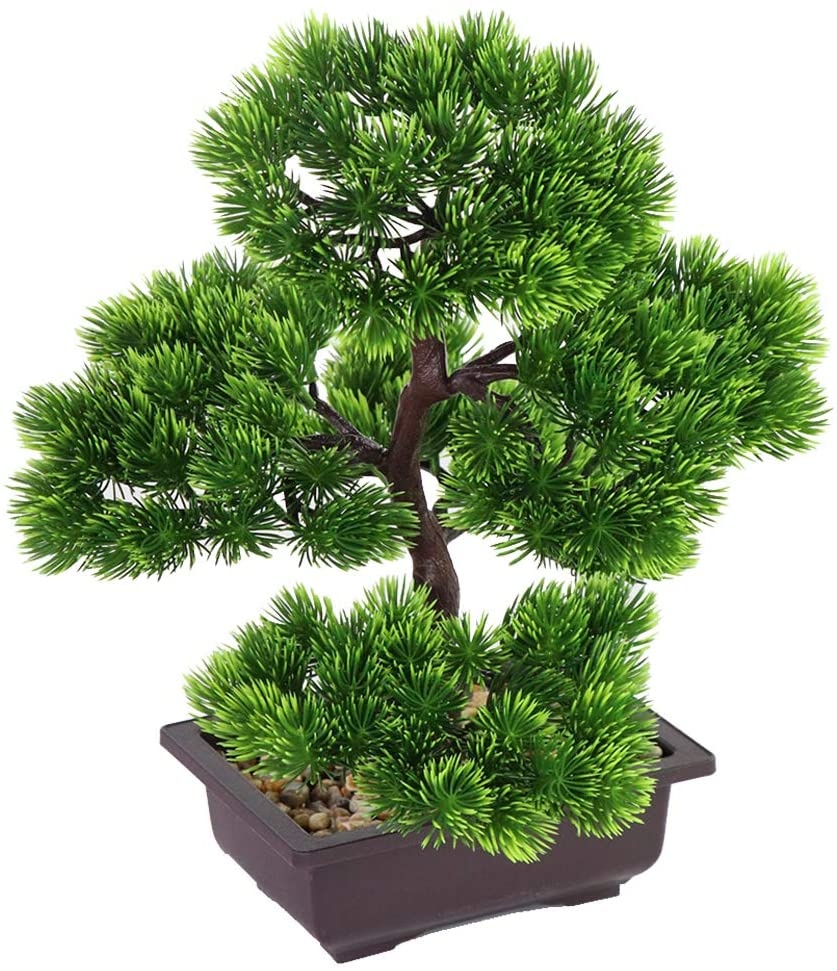 Japanese Pine Bonsai Plant for – обзор и цена Victory Home Decor