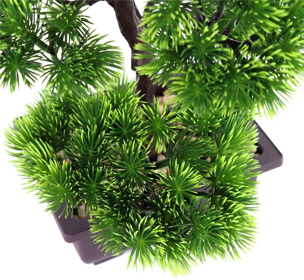 Japanese Pine Bonsai Plant for – обзор и цена Victory Home Decor