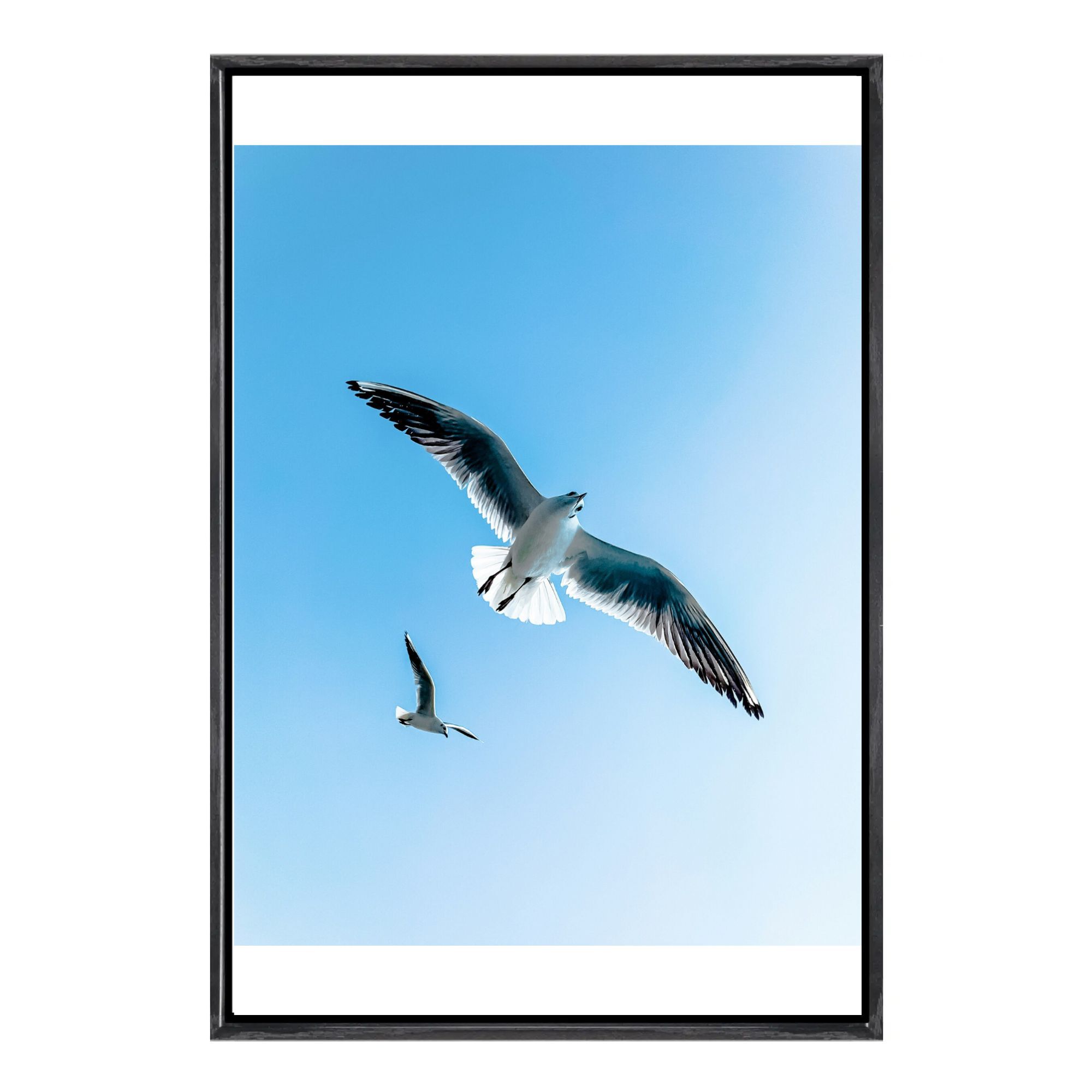 Seagull Canvas Framed Wall Art – обзор и цена Home Decor Mirror