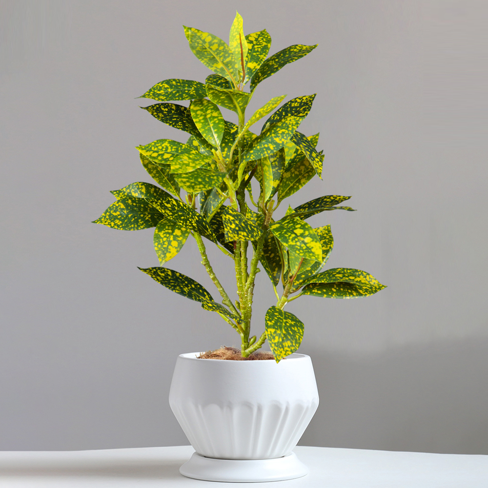 24-41cm Artificial Ficus Tree  – обзор и цена Victory Home Decor
