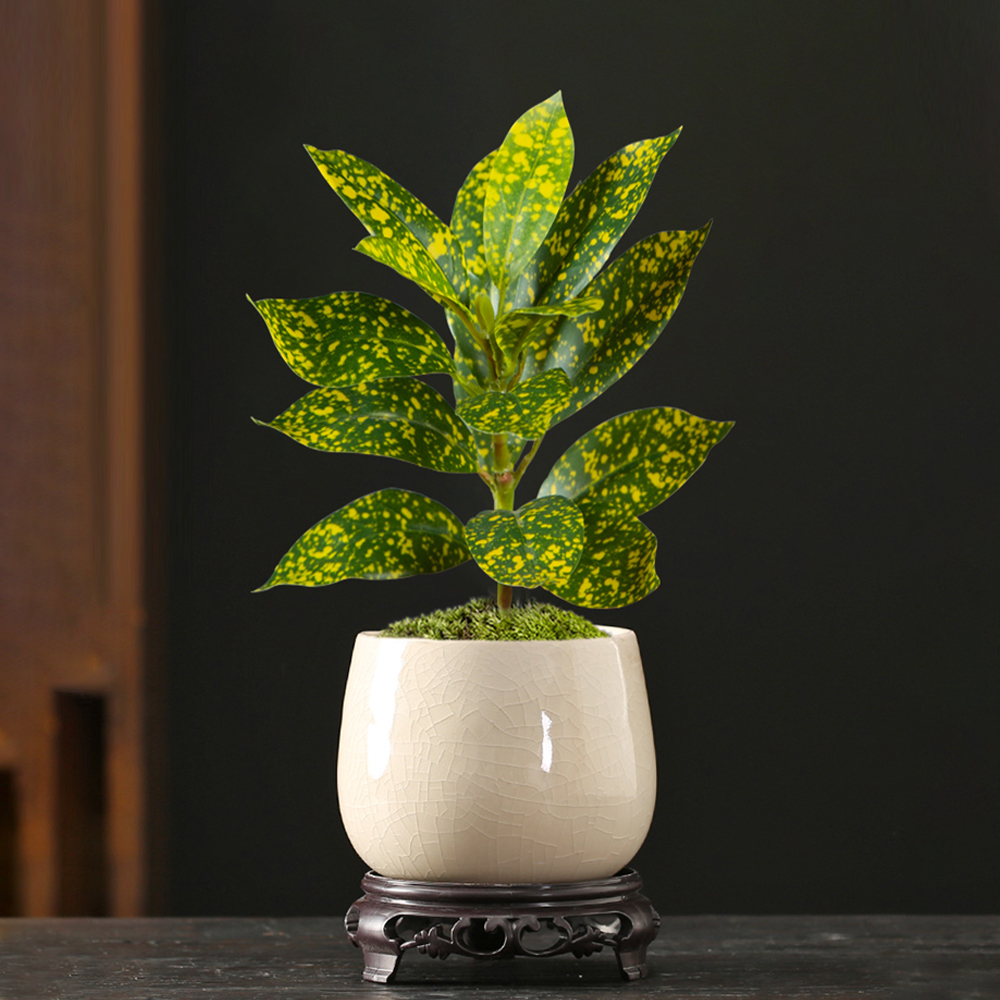24-41cm Artificial Ficus Tree  – обзор и цена Victory Home Decor
