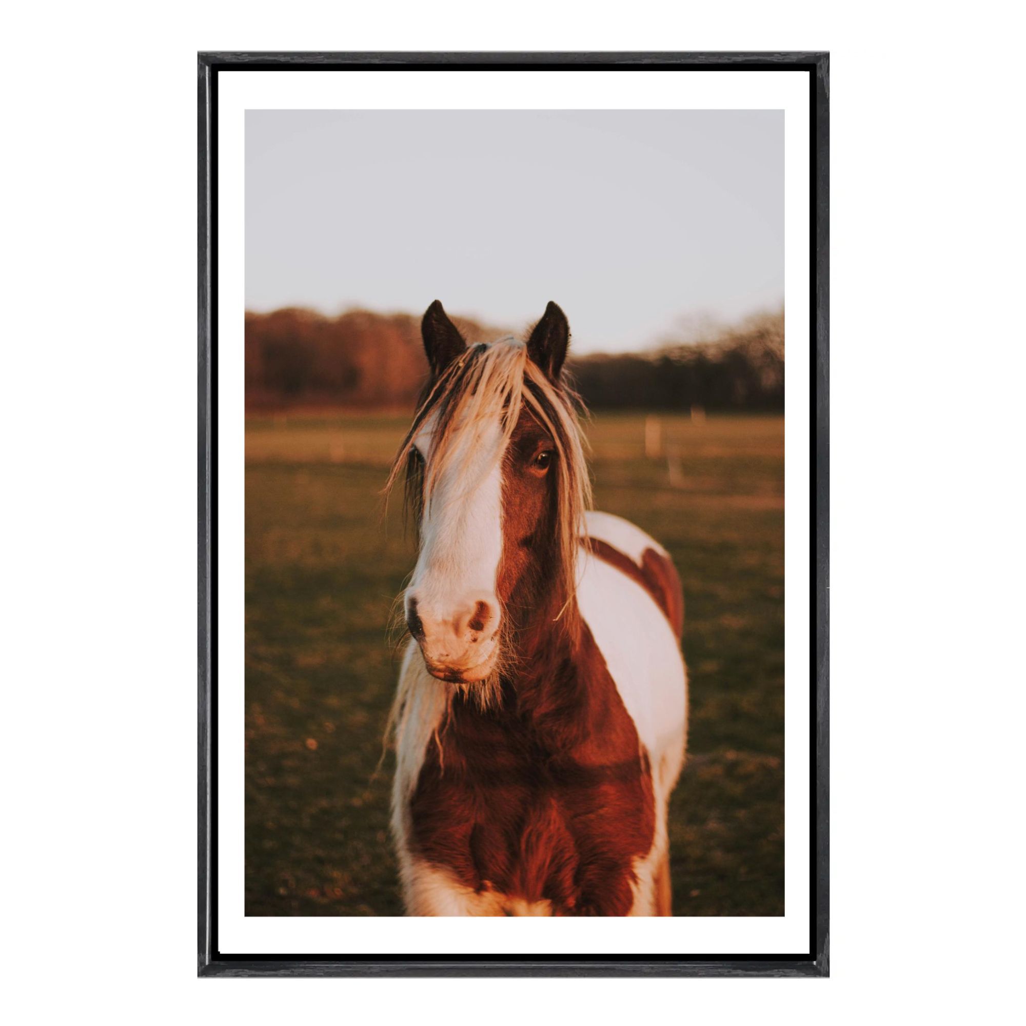 Cowboy Horse Canvas Framed Wal – обзор и цена Home Decor Mirror