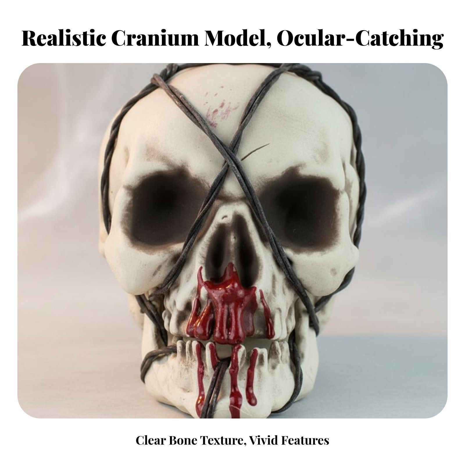 Realistic Skull Model Horror T – обзор и цена Home Decor In